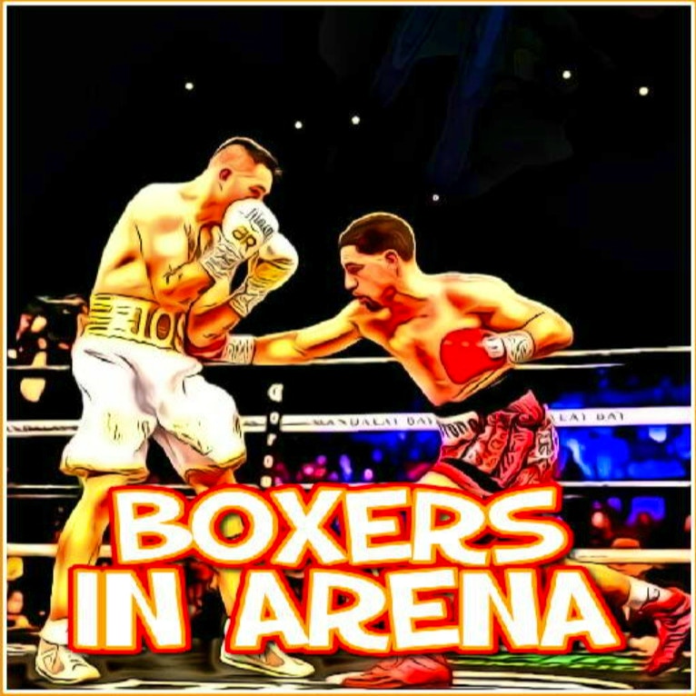 Boxers in Arena