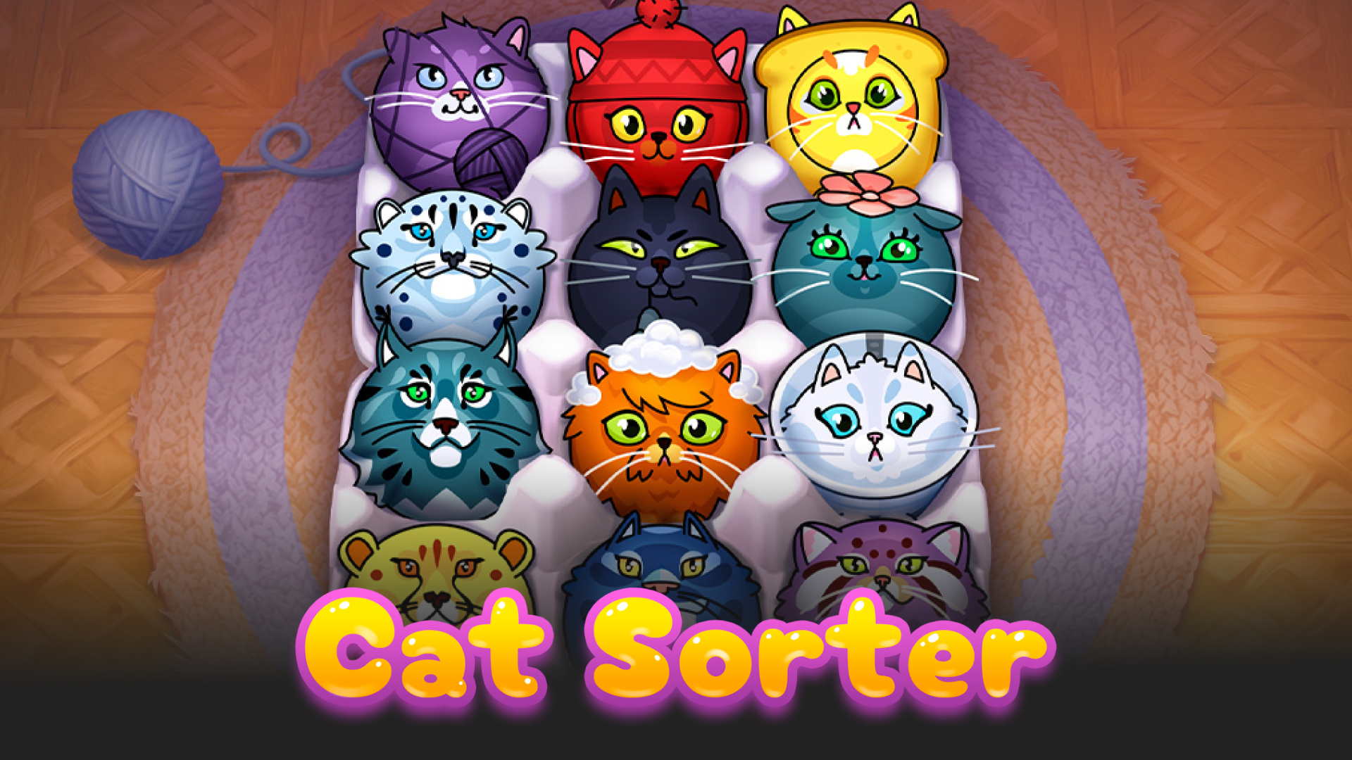 Cat Sorter Puzzle