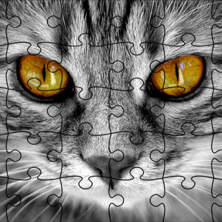 Jigsaw Puzzle: Cats