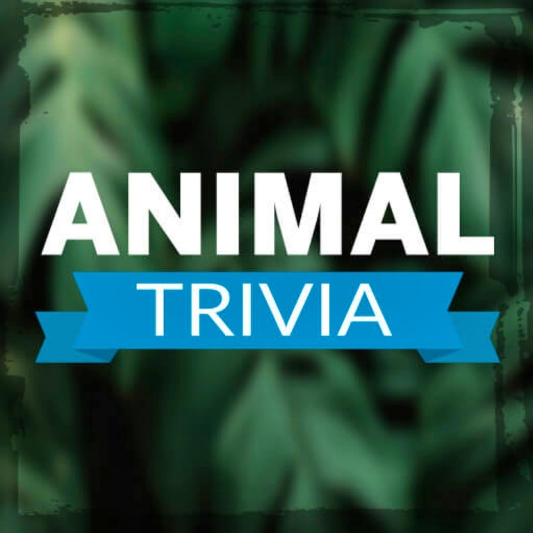 Animal Trivia