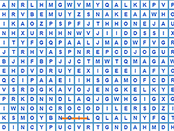 Super Word Search image Preview2