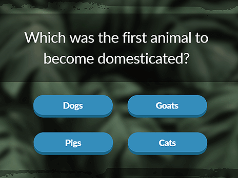 Animal Trivia image Preview2